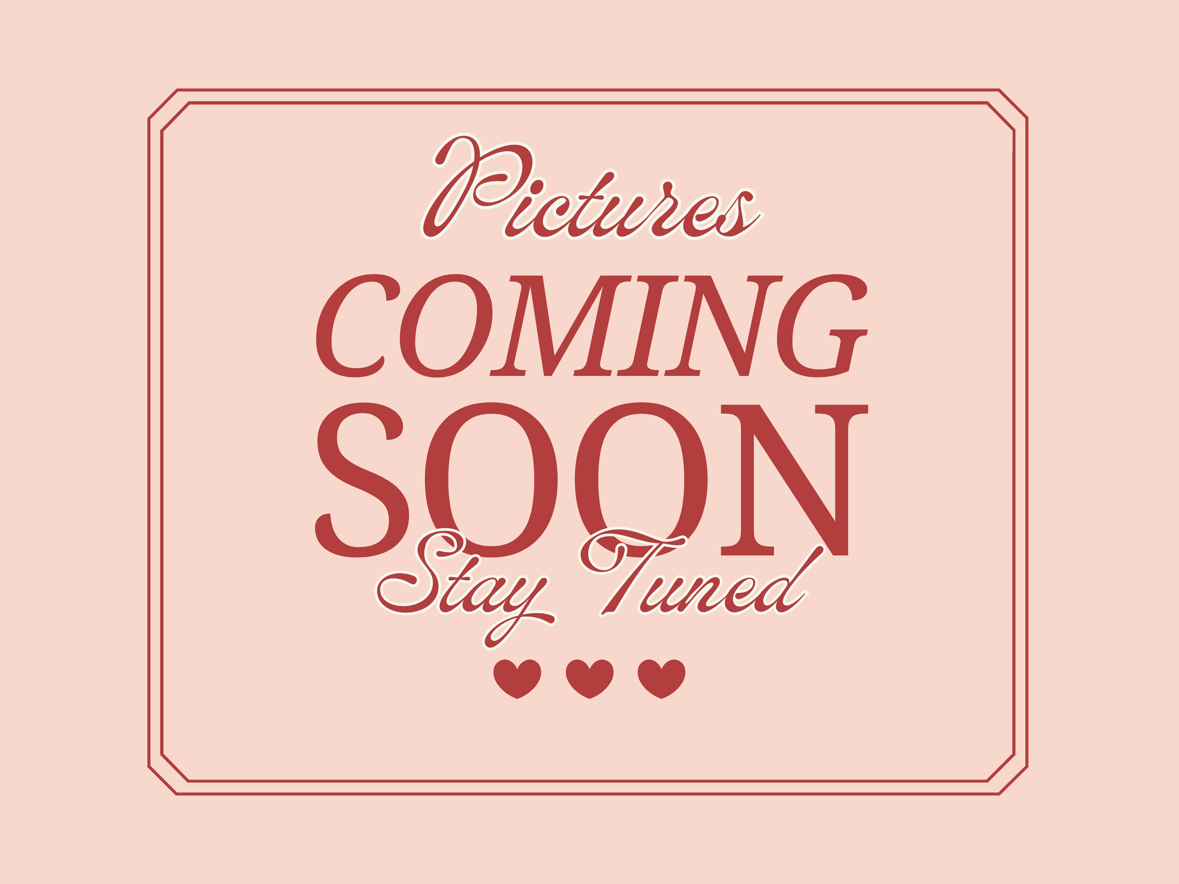 Dual Tone Paw-Shaped Diamond Painting Pen Holder